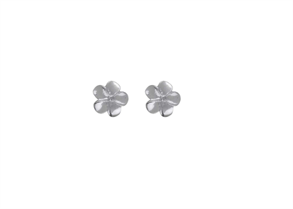 Rhodium Plated | Fashion Earrings